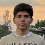 Camarillo Tafoya, José Luis