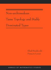 Non-Archimedean Tame Topology And Stably Dominated Types
