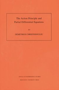 The Action Principle And Partial Differential Equations
